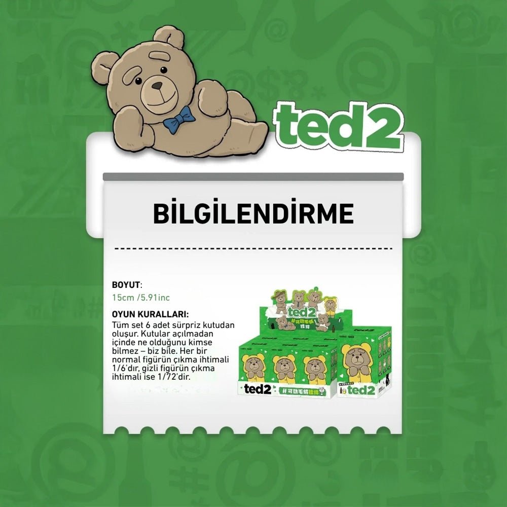 POP MART TED2 TEDDY BEAR ACTION SÜRPRİZ KUTU SERİSİ - Termos Türkiye - 